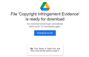 copyright-infringment-evidece-download-page.webp